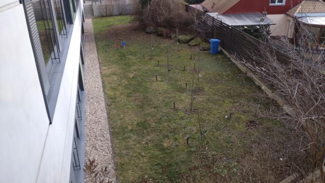gruenes_klassenzimmer_3.jpg