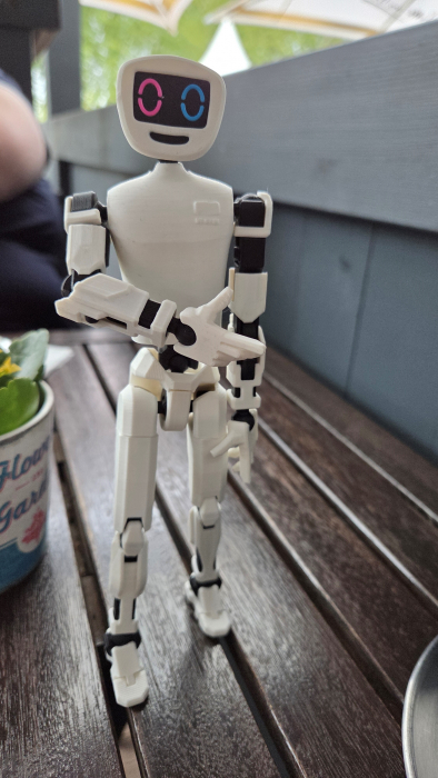 pib_der_humanoide_roboter_aus_dem_3d_drucker.jpg